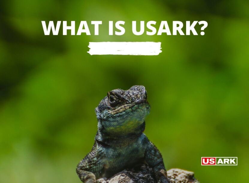 Usark